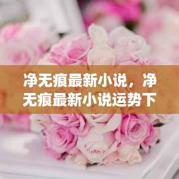 净无痕最新小说,星座指引的冒险人生之奇幻之旅