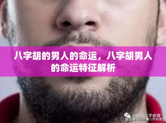 八字胡男人的命运特征深度解析