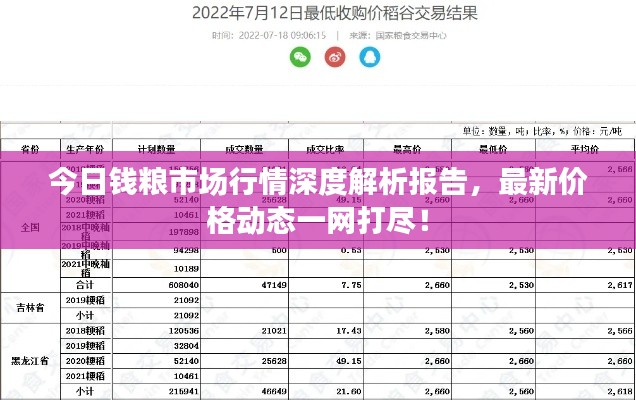 今日钱粮市场行情深度解析报告,最新价格动态一网打尽!