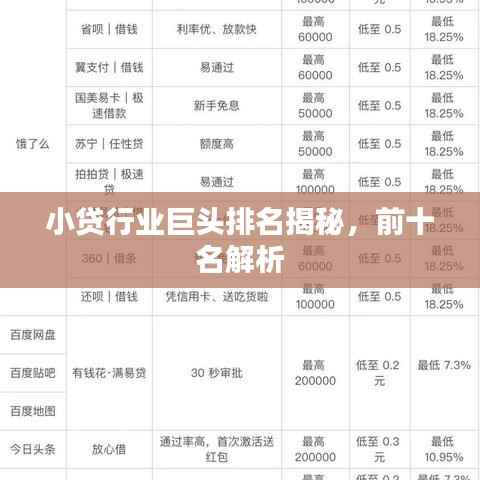小贷行业巨头排名揭秘,前十名解析