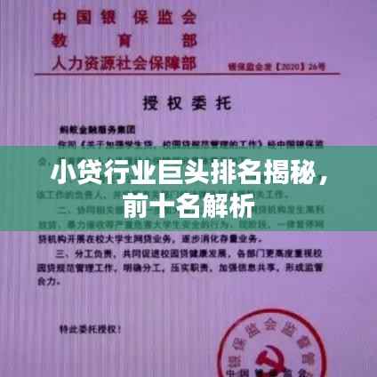 小贷行业巨头排名揭秘,前十名解析