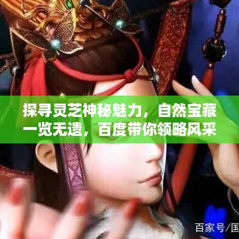探寻灵芝神秘魅力,自然宝藏一览无遗,百度带你领略风采