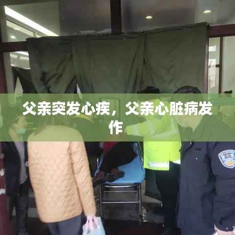 夫贵妻荣 第4页