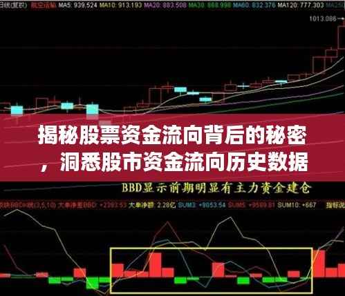 揭秘股票资金流向背后的秘密，洞悉股市资金流向历史数据！