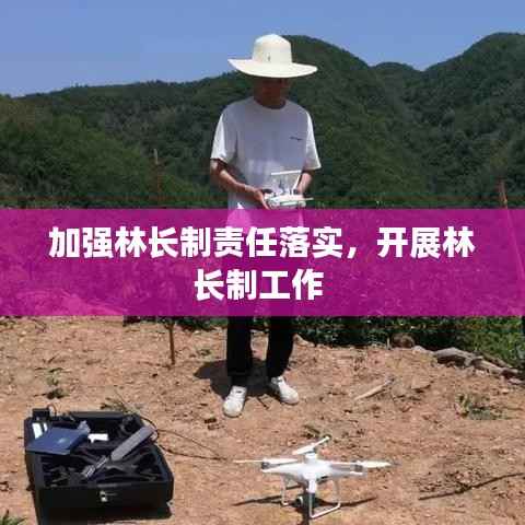 加强林长制责任落实,开展林长制工作