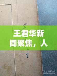 王君华新闻聚焦,人物动态与业界热议热议不断