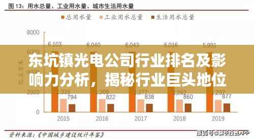 东坑镇光电公司行业排名及影响力分析，揭秘行业巨头地位
