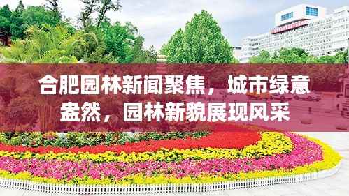 合肥园林新闻聚焦，城市绿意盎然，园林新貌展现风采