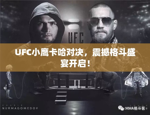 UFC小鹰卡哈对决，震撼格斗盛宴开启！