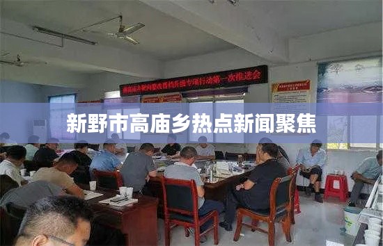 新野市高庙乡热点新闻聚焦