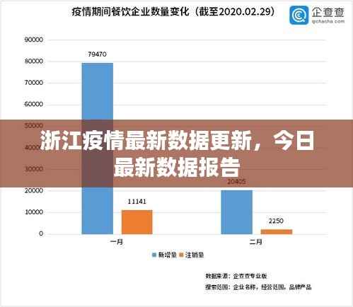 浙江疫情最新数据更新,今日最新数据报告
