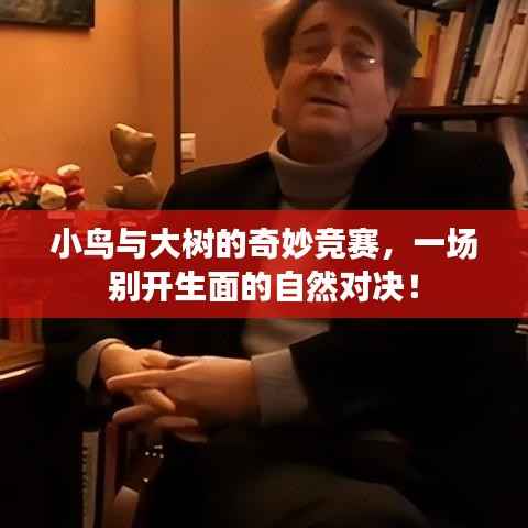 小鸟与大树的奇妙竞赛，一场别开生面的自然对决！